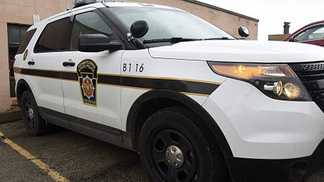 article image - STATE POLICE